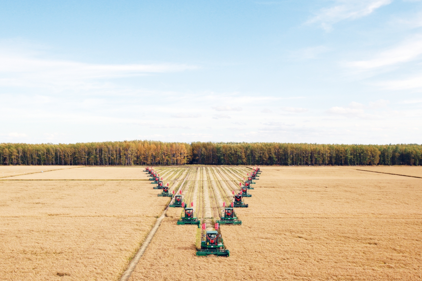 服務種業發展 保障糧食安全