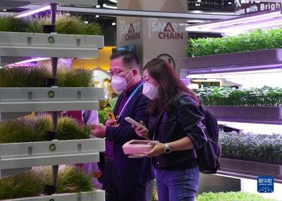 進博會上的農業革命 集裝箱里種菜看種業創新