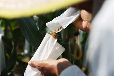 聚焦種業“破卡”，2021中國種子大會引領種業振興新篇章