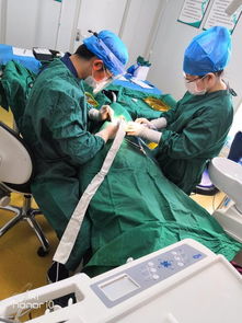 十年磨一劍 呼市至美口腔獲國內外專家認可，引領口腔診療服務新標準